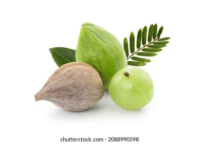 त्रिफला आयुर्वेद